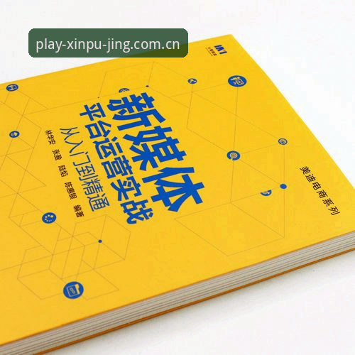 新普京真实反馈 资深玩家亲述:新普京真实反馈与使用心得,从入门到精通的实战经验